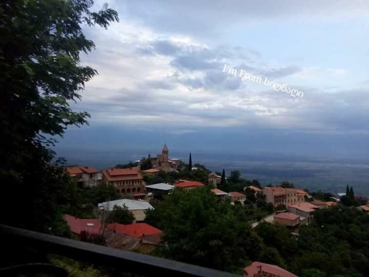 Tsitso & Soso Guesthouse Tsnori Екстер'єр фото