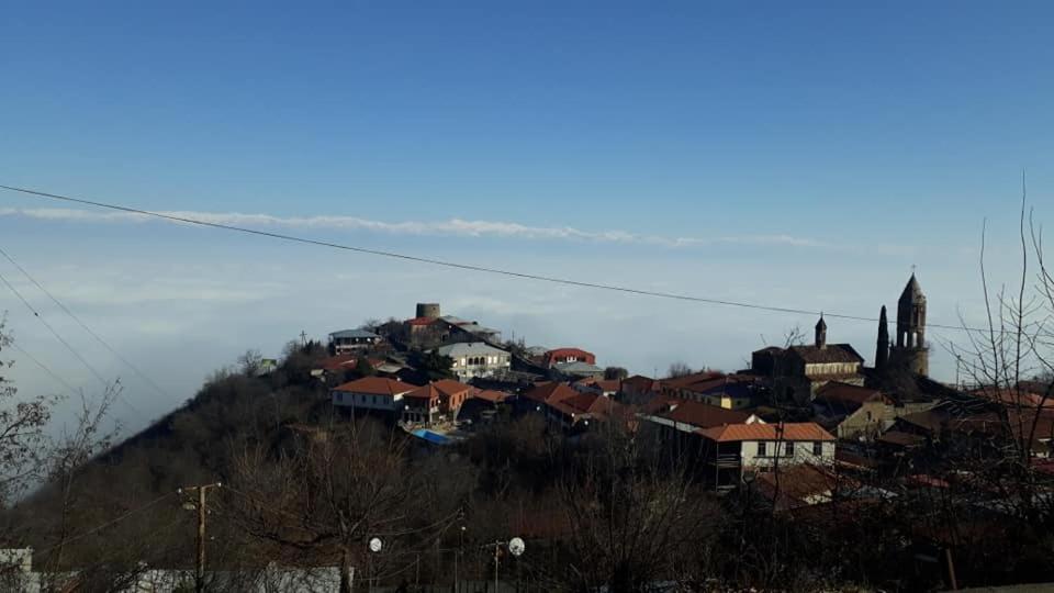 Tsitso & Soso Guesthouse Tsnori Екстер'єр фото
