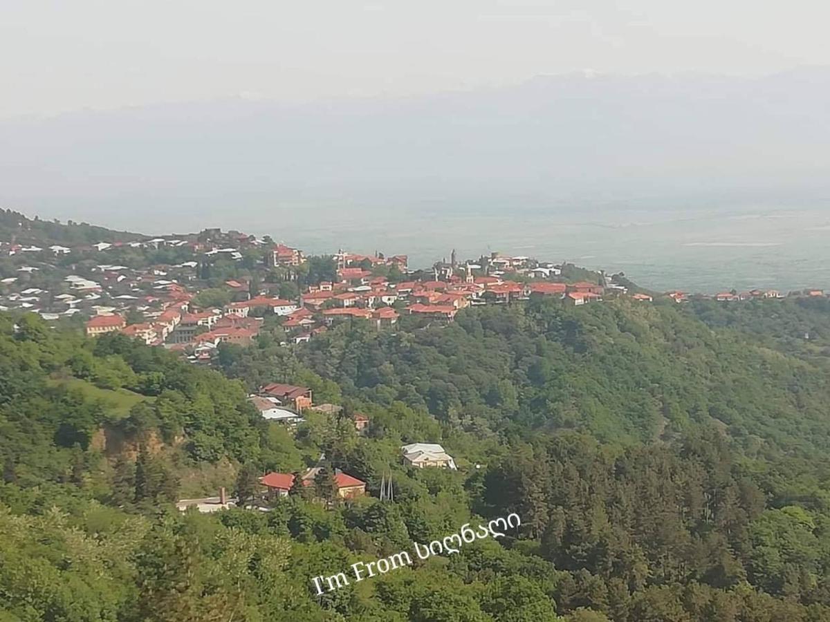 Tsitso & Soso Guesthouse Tsnori Екстер'єр фото